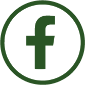 Facebook icon