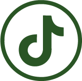 tiktok icon