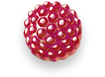 Raspberry