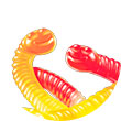 Worms