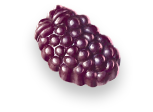 blackforest_grapes_fruit_snacks