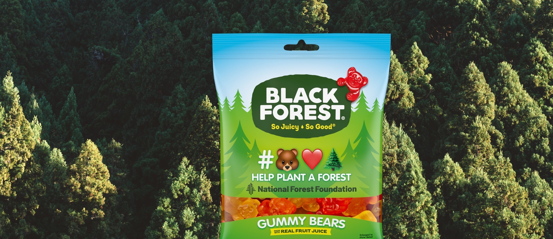 forest packaging